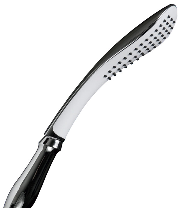 Handheld Shower Head (Shower Wand)